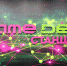 Игры, которые создают дети: о развитии тюменского GameDev-пространства - Викуловский район